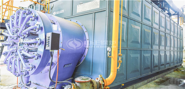 進口商用鍋爐品牌