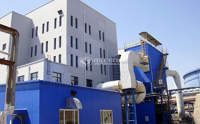 什么是生物質(zhì)蒸汽鍋爐燒什么燃料?實(shí)拍