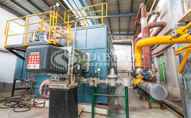 15噸燃?xì)忮仩t多少錢客戶案例圖片