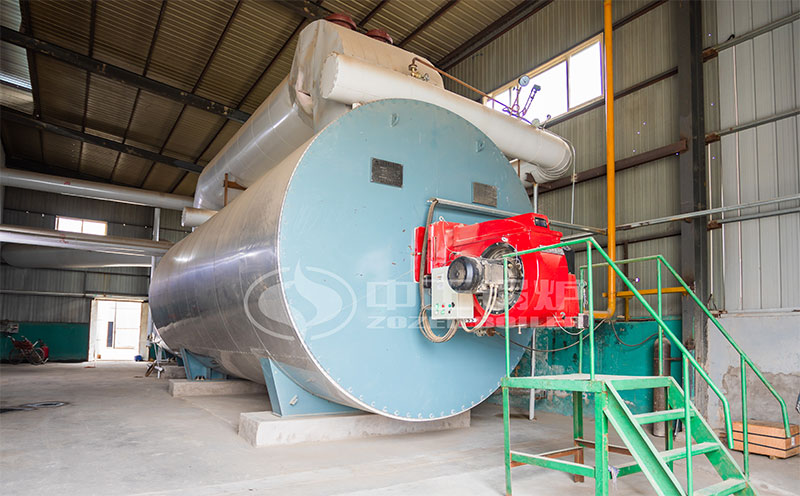 集裝箱撬裝鍋爐視頻客戶案例圖片