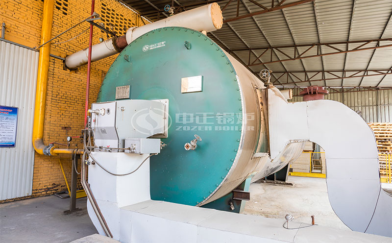 10噸燃?xì)鉄崴仩t客戶案例圖片