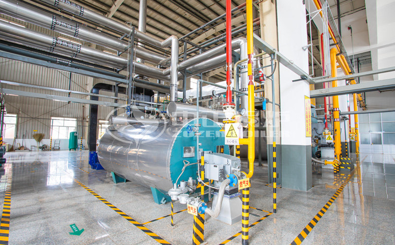 生物蒸氣鍋爐4t客戶案例圖片