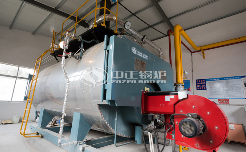 20噸燃?xì)鉄崴仩t循環(huán)流量客戶案例圖片