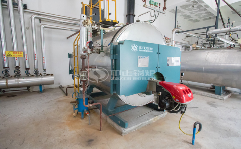 4噸撬裝燃?xì)庹羝仩t客戶案例圖片