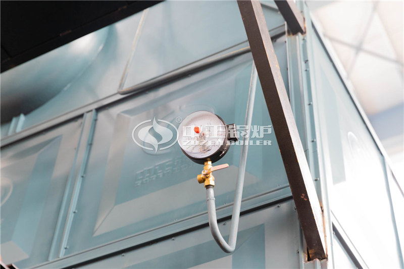 DZL燃?xì)庹羝仩t排名