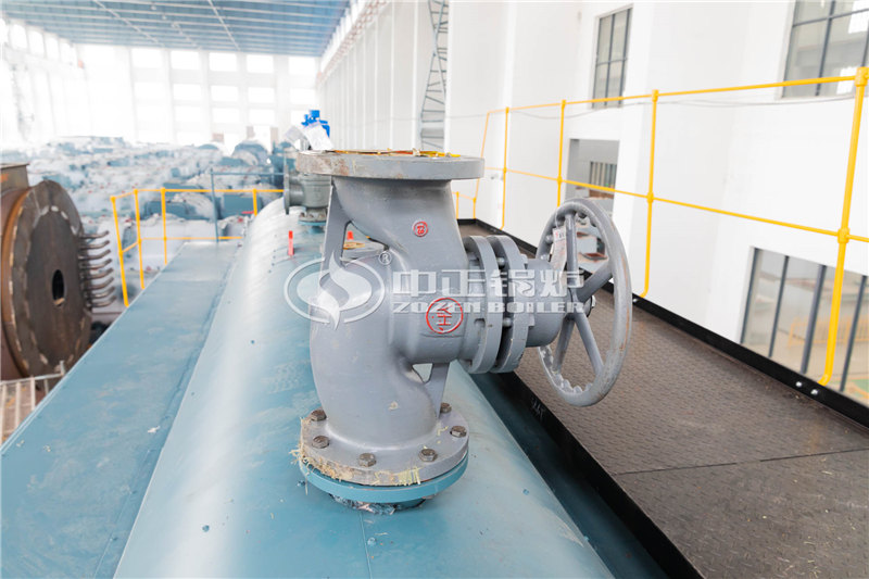 兩噸燃?xì)庹羝仩t批發(fā)價格