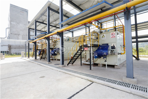 4噸燃?xì)庹羝仩t價(jià)格貴嗎