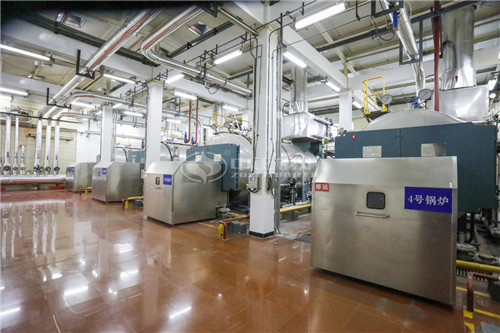 二十噸天然氣蒸汽爐常規(guī)報(bào)價(jià)